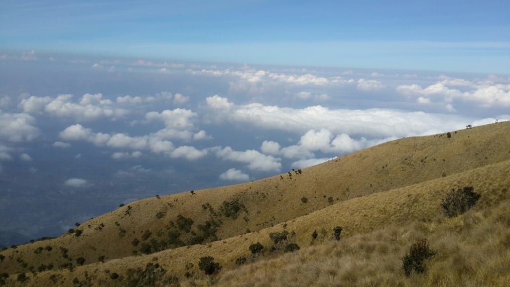 gunung merbabu 5