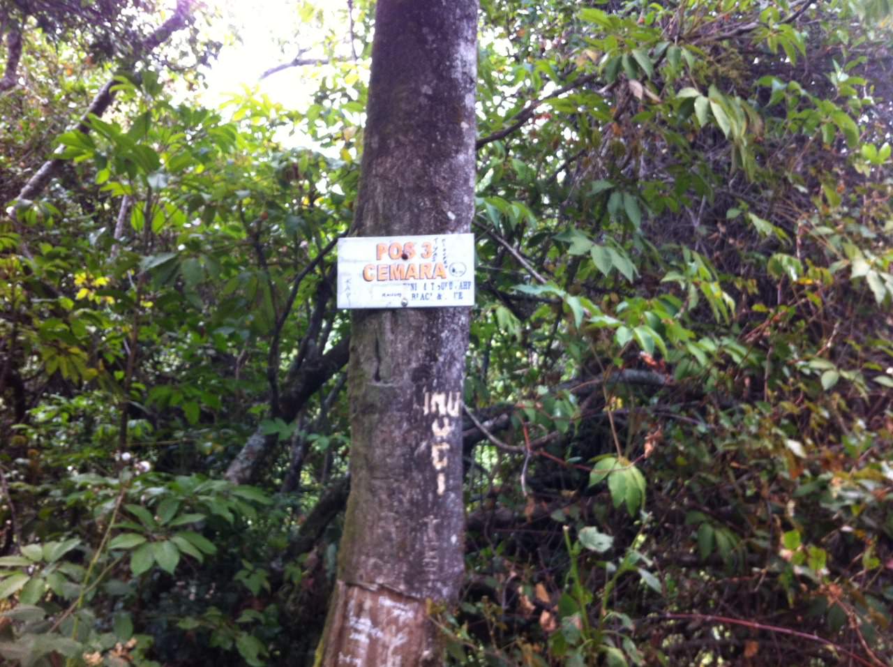Pos 3 Gunung Slamet