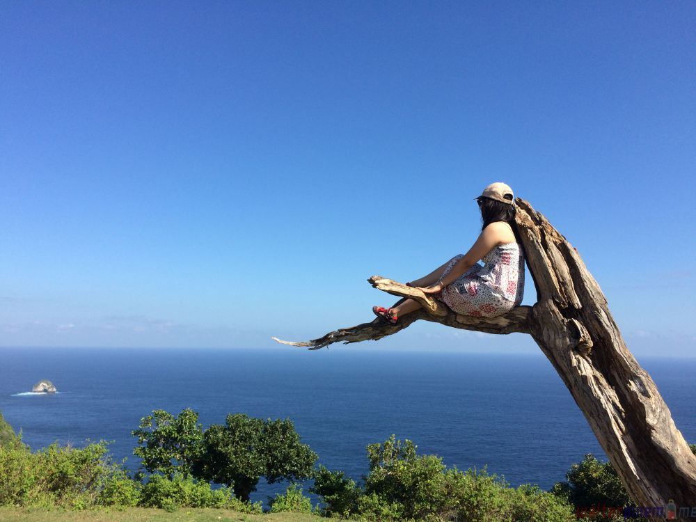 pohon cinta nusa penida