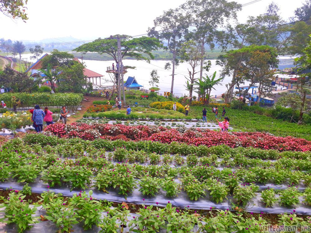 taman inaya danau mas harun bastari bengkulu - walterpinem 4