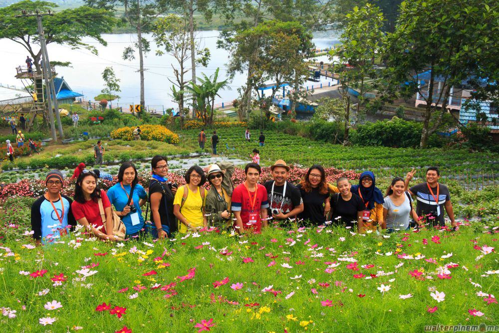 taman inaya danau mas harun bastari bengkulu - taman bunga inaya