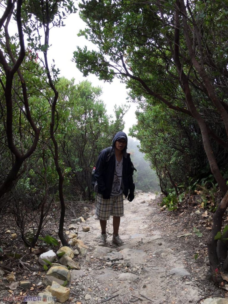 mendaki gunung papandayan garut jawa barat - 17