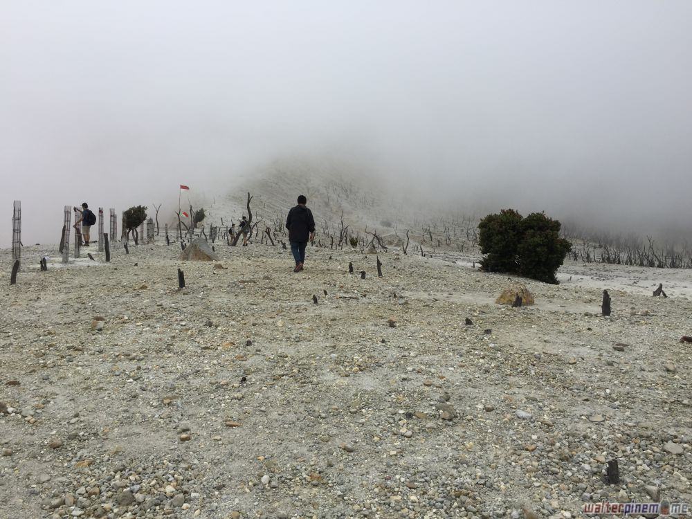 mendaki gunung papandayan garut jawa barat hutan mati - 10