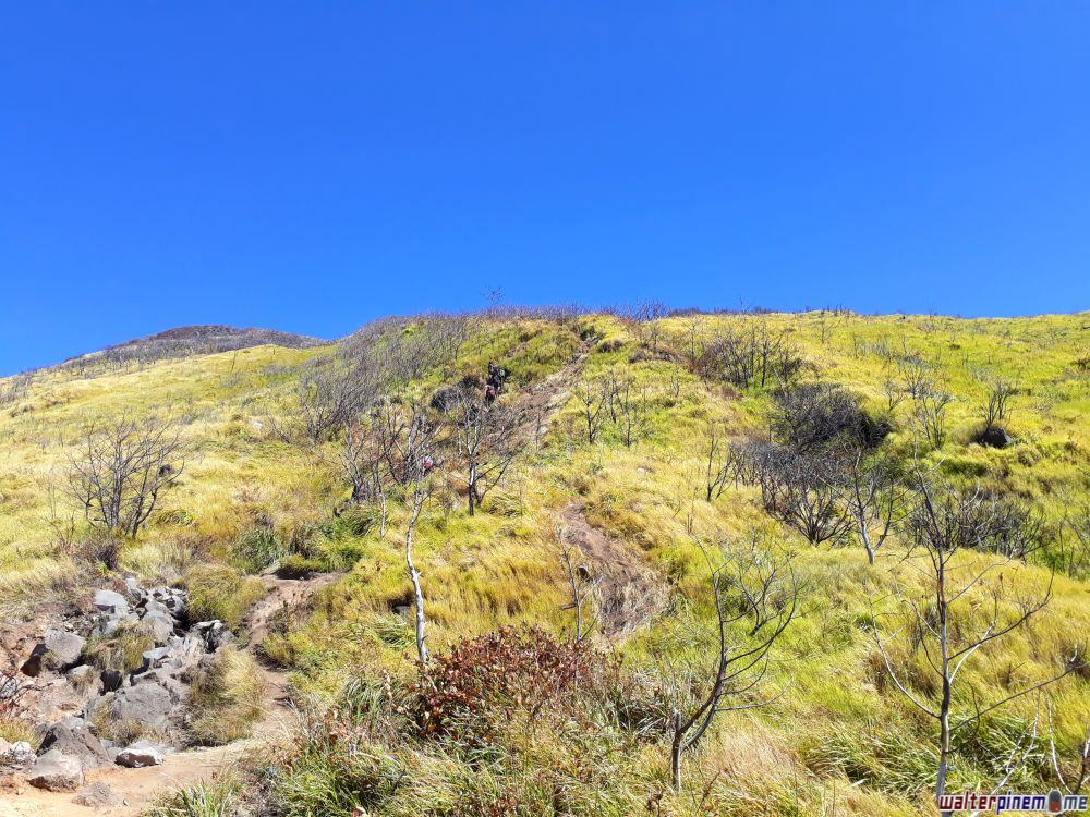 pendakian gunung sindoro via jalur kledung jawa tengah - 7