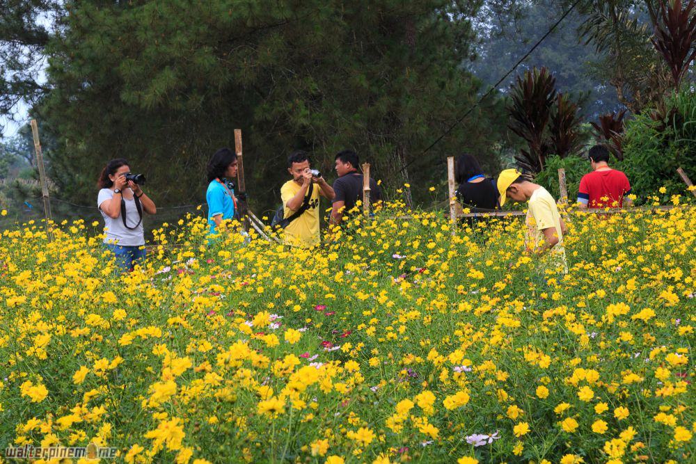 Danau Mas Harun Bastari Bengkulu - 5