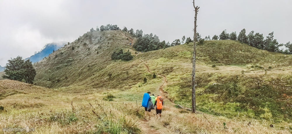 pendakian gunung prau - 2