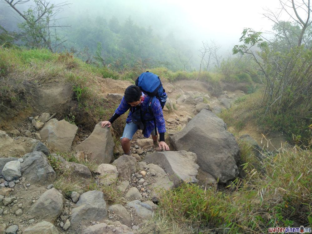 pendakian gunung sindoro via jalur kledung jawa tengah - 15